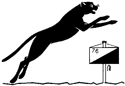 panther.gif